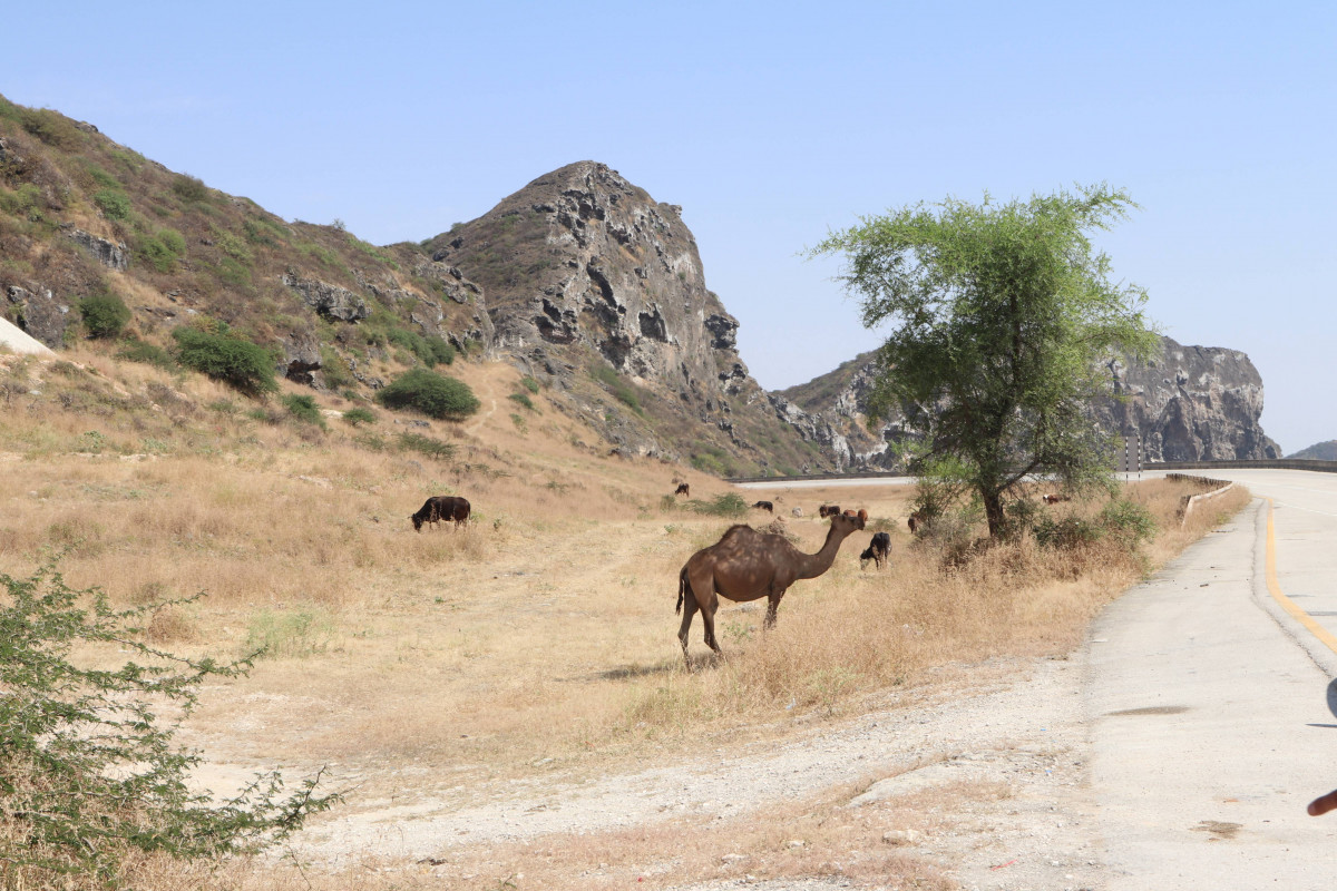 Přednášky v Botanické zahradě začínají 19. února