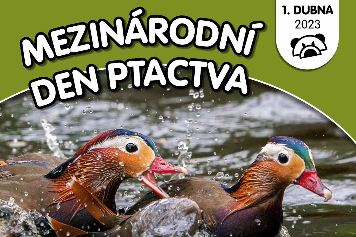 Sobota bude v děčínské zoo patřit opeřencům Sobota bude v děčínské zoo patřit opeřencům