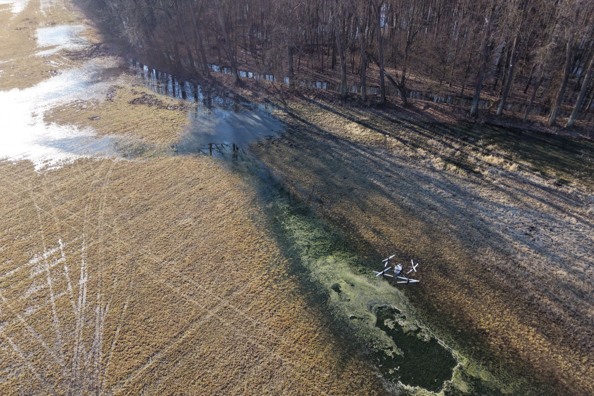Vědci vylepší monitoring komárů v Litovelském Pomoraví