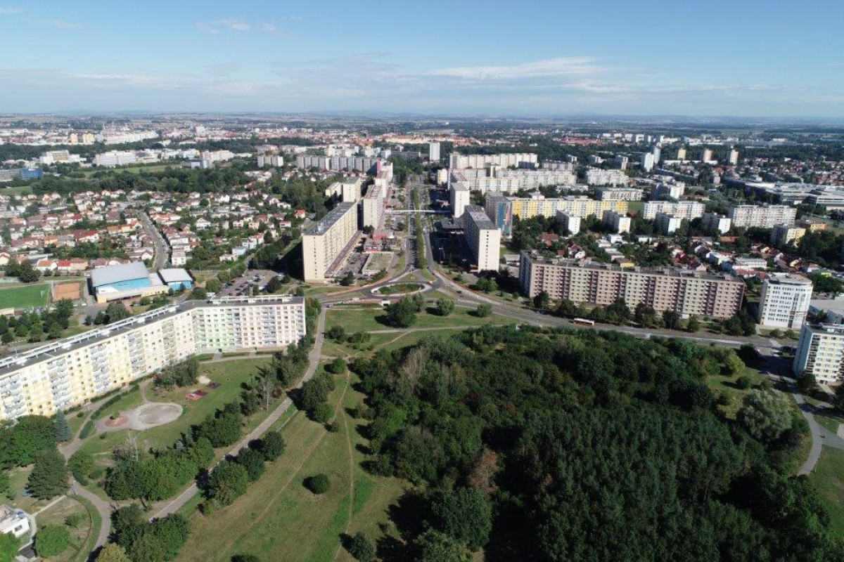 Město chystá návrh na úpravu lesoparku na Moravském Předměstí