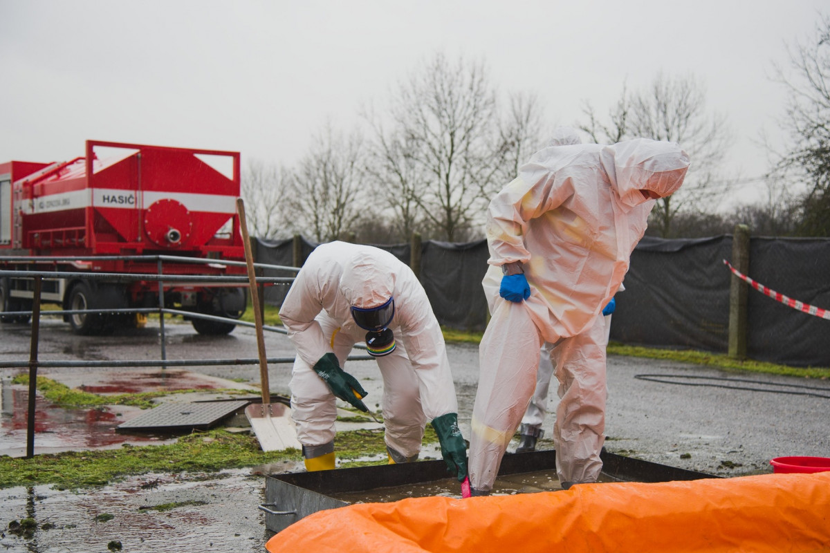 Nová ohniska ptačí chřipka v malochovech drůbeže