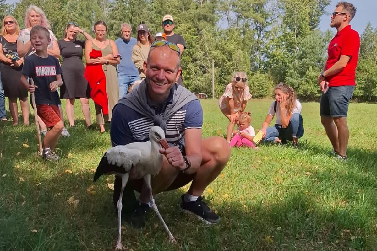 Uzdravení čápi se vrátili do volné přírody