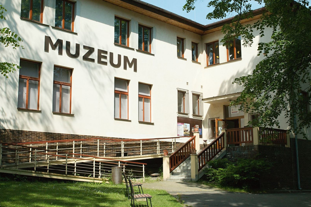 Krajem zřizovaná muzea a galerie obohatí své sbírky.