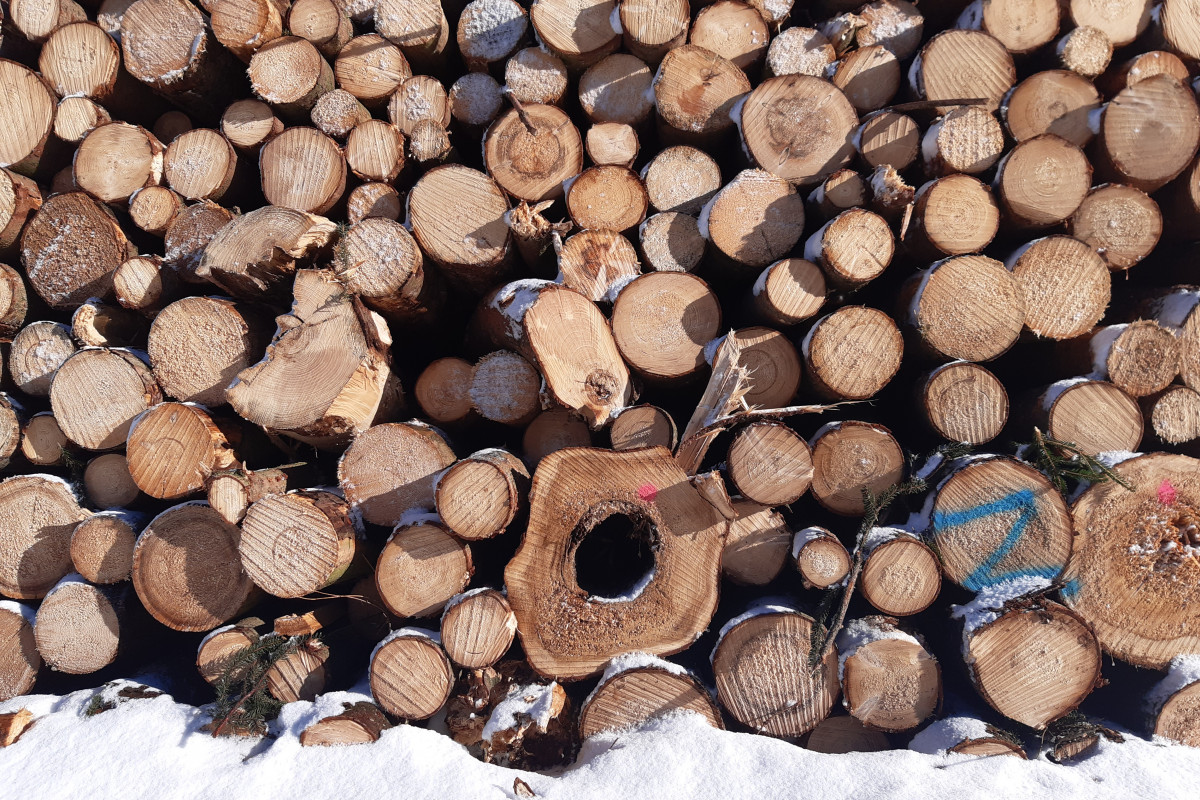 S koncem kůrovcové kalamity pokračuje podpora vlastníků lesů