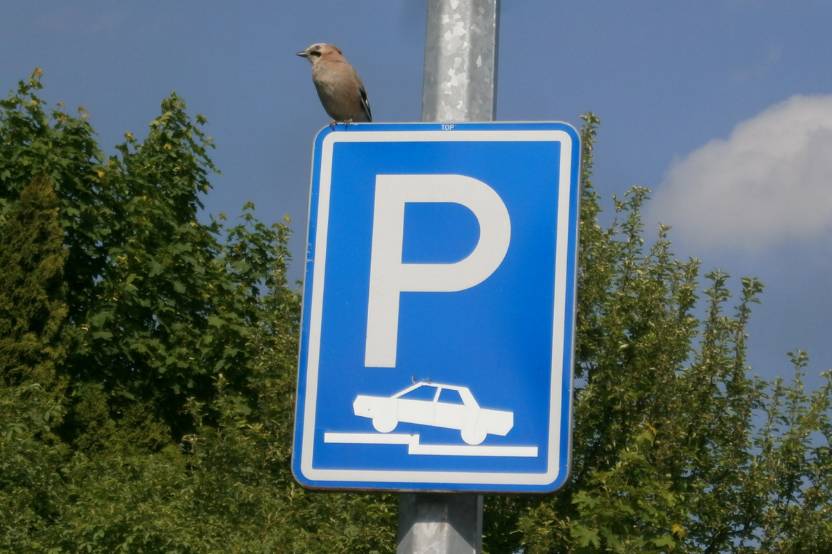 Ve Skvrňanech vzniknou nová parkovací místa, přípravy začínají