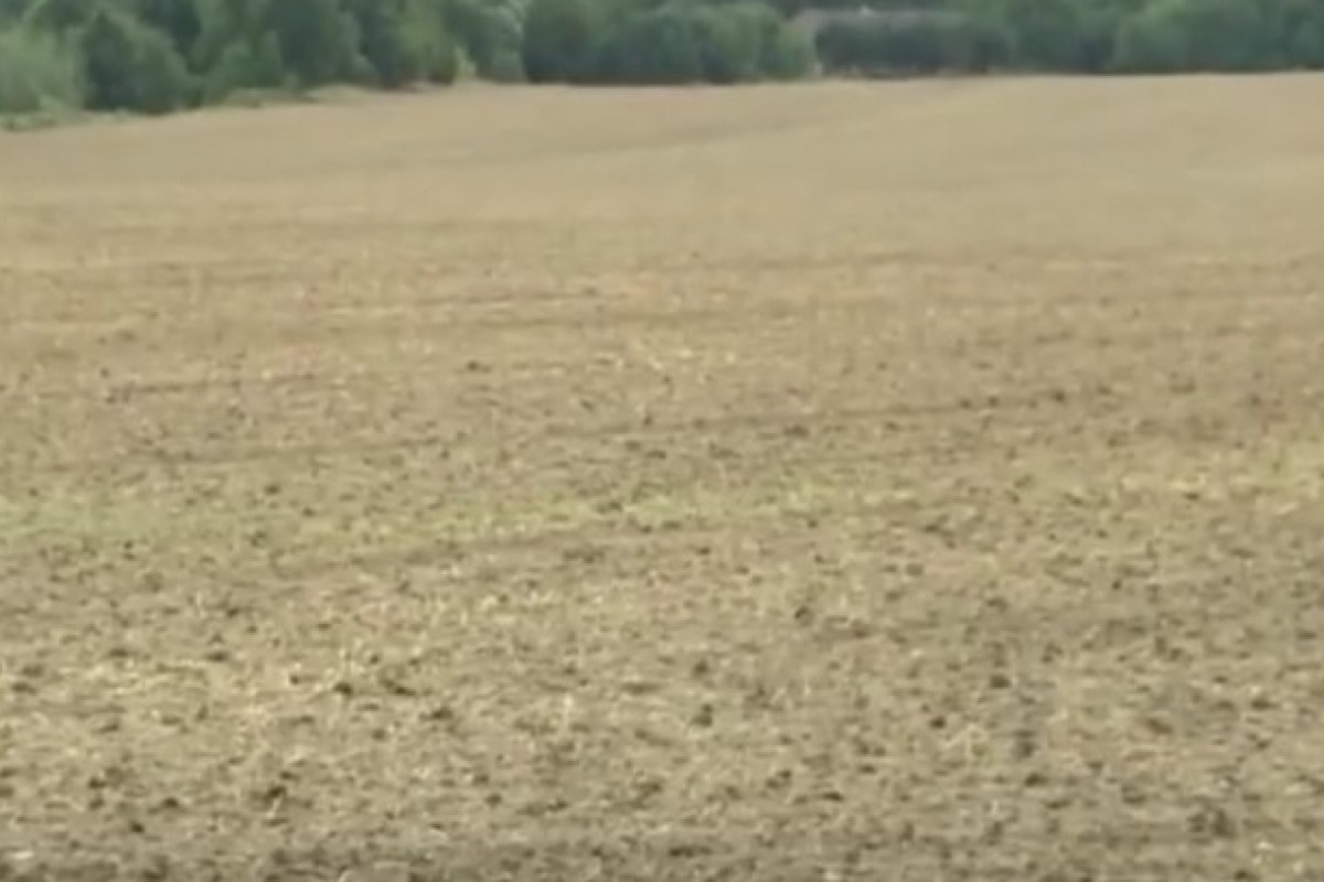 Způsobí konflikt na Blízkém východě potravinovou krizi?