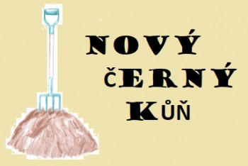 Vidlákův nový černý kůň. Co když překvapí? Vidlákův nový černý kůň. Co když překvapí?