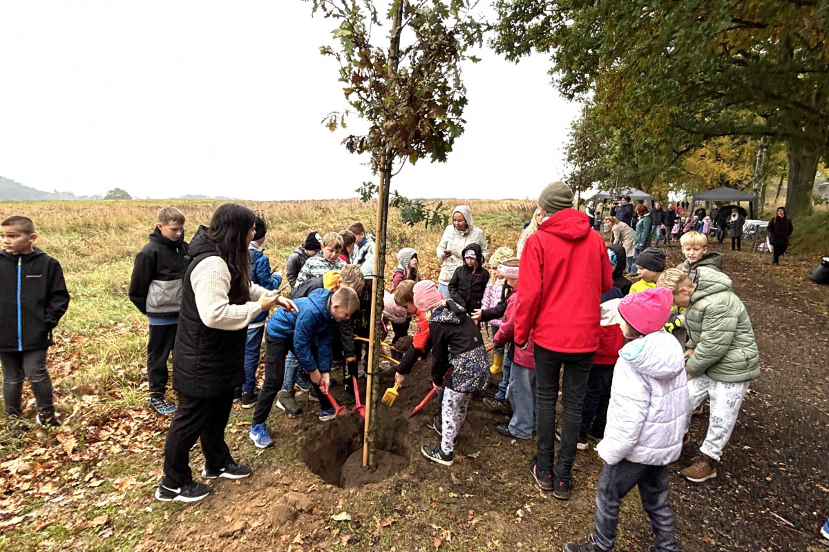 Cestu k evropsky významné lokalitě lemuje dvacet nových dubů Cestu k evropsky významné lokalitě lemuje dvacet nových dubů