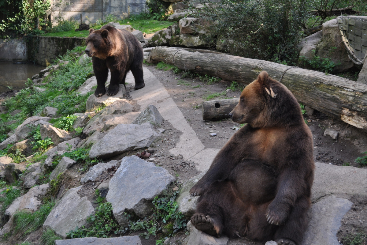Zoo Děčín poděkovala adoptivním rodičům zvířat a sponzorům
