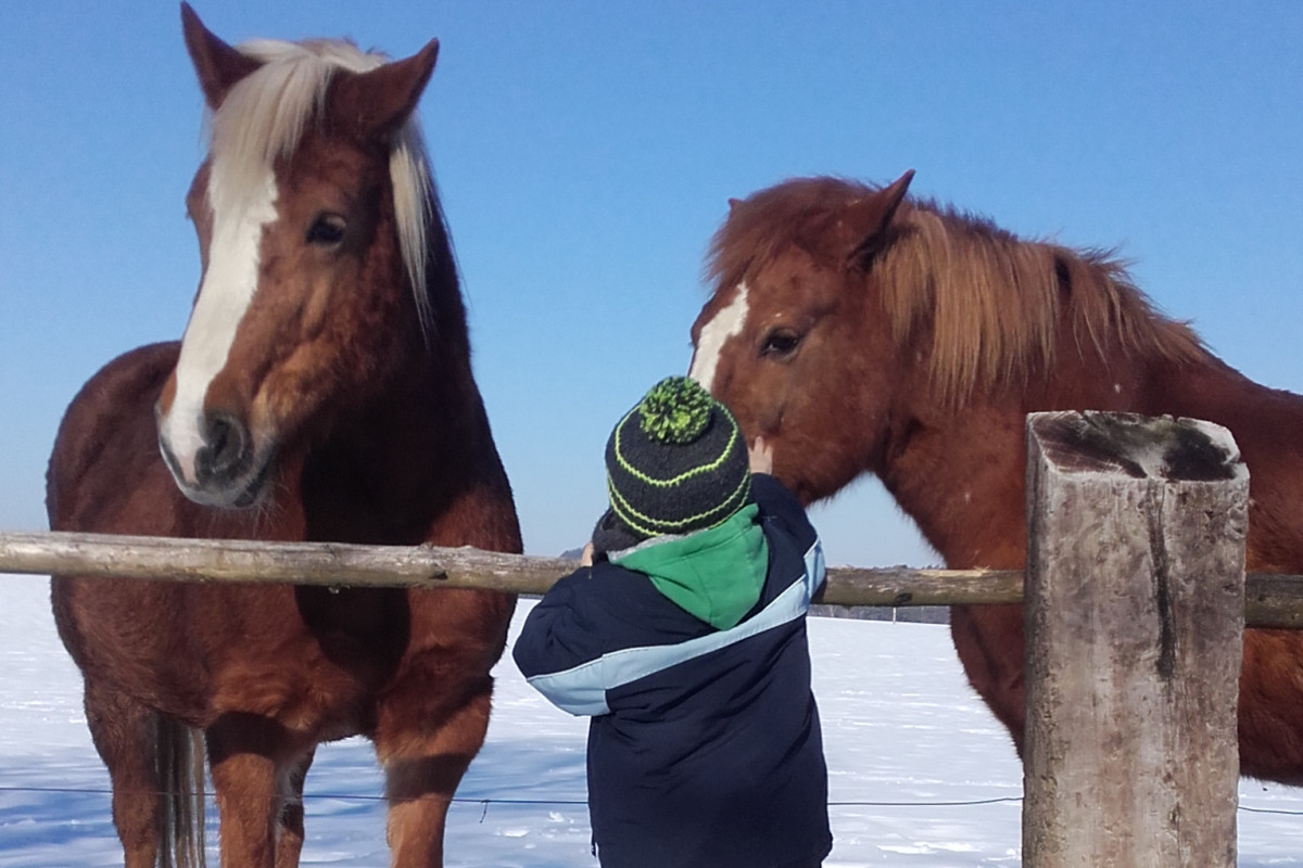 Kraj podpoří exkurze zaměřené na environmentální výchovu