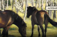 Divocí koně z milovické rezervace se poprvé objevili v komiksu