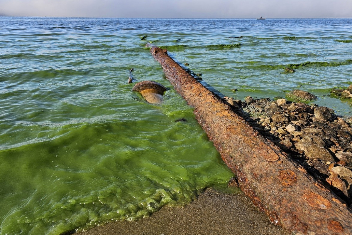 Biologové zmapovali odpadní výpusti na Lipně