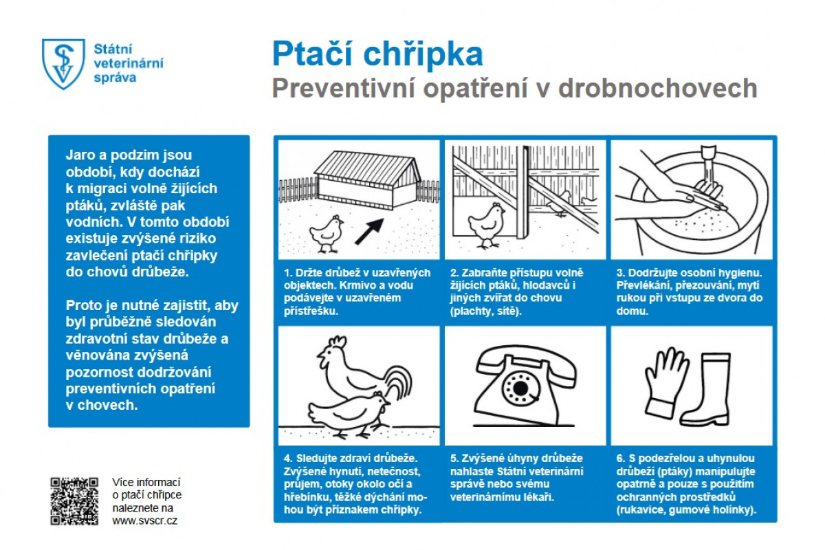 Liberecký kraj: Výskyt ptačí chřipky u volně žijících ptáků