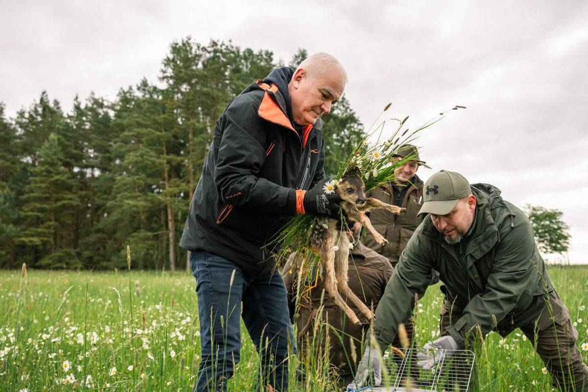 Plzeňský kraj znovu podpoří záchranu srnčat při sečení polí