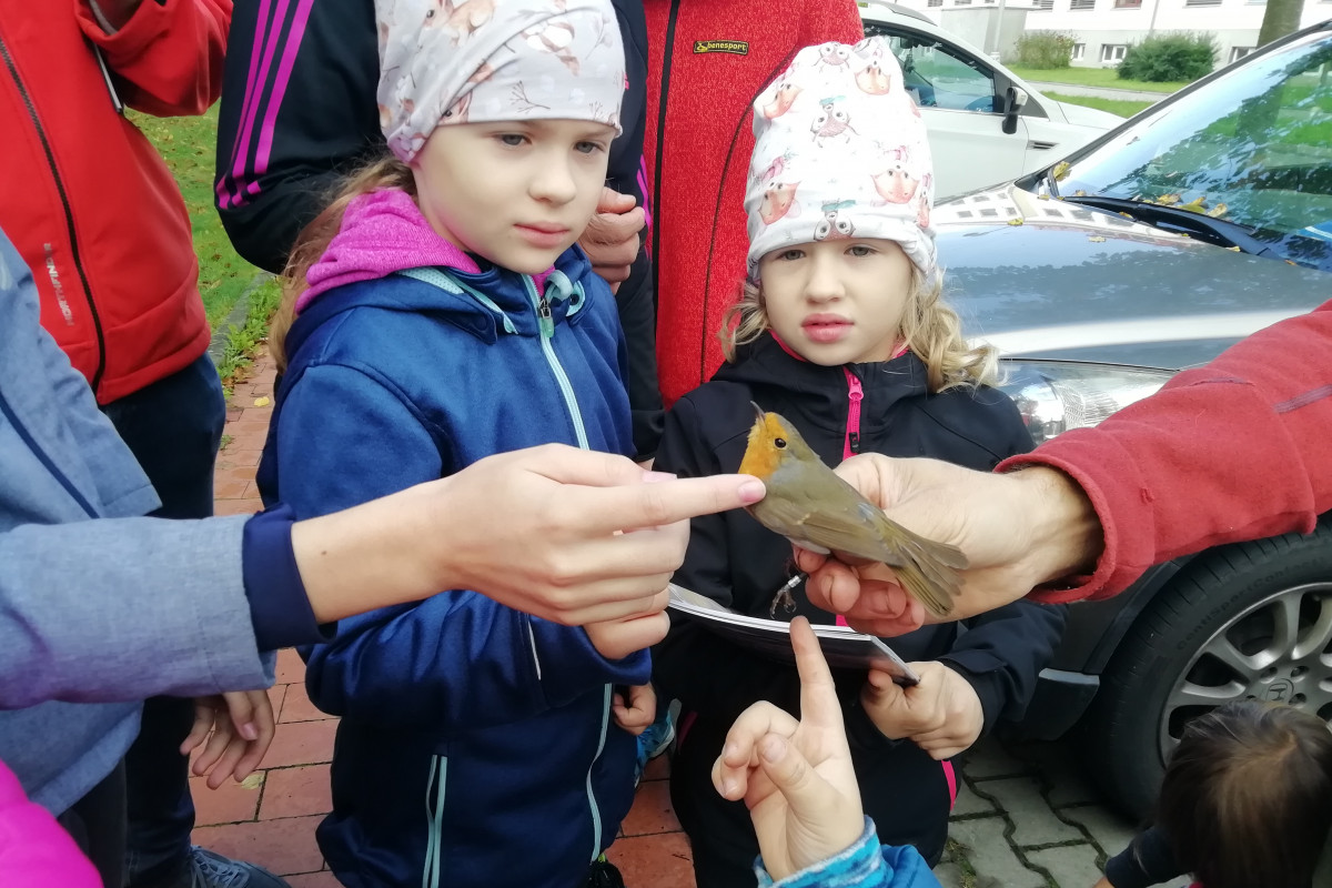 Vyrazte na vycházku s ornitologem