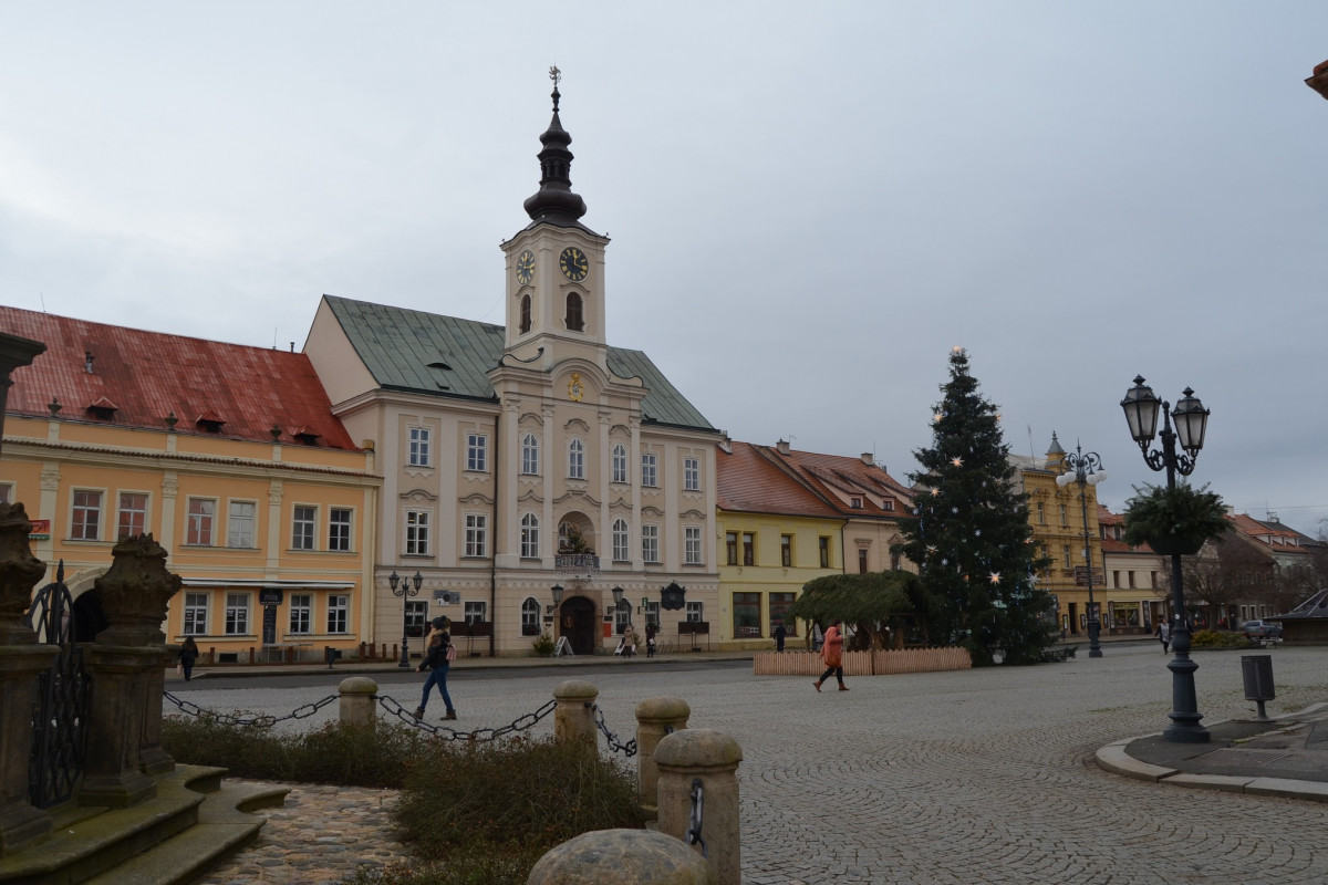 Nabídněte je Rokycanům jako vánoční strom Nabídněte je Rokycanům jako vánoční strom