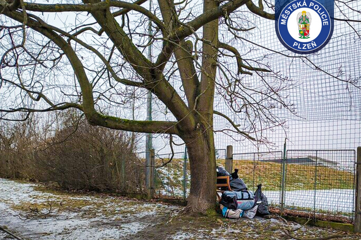 Plzeňští strážníci zasahovali v mrazivém počasí