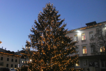 Vánoční stromek Naděje bude plnit přání také na krajském úřadě