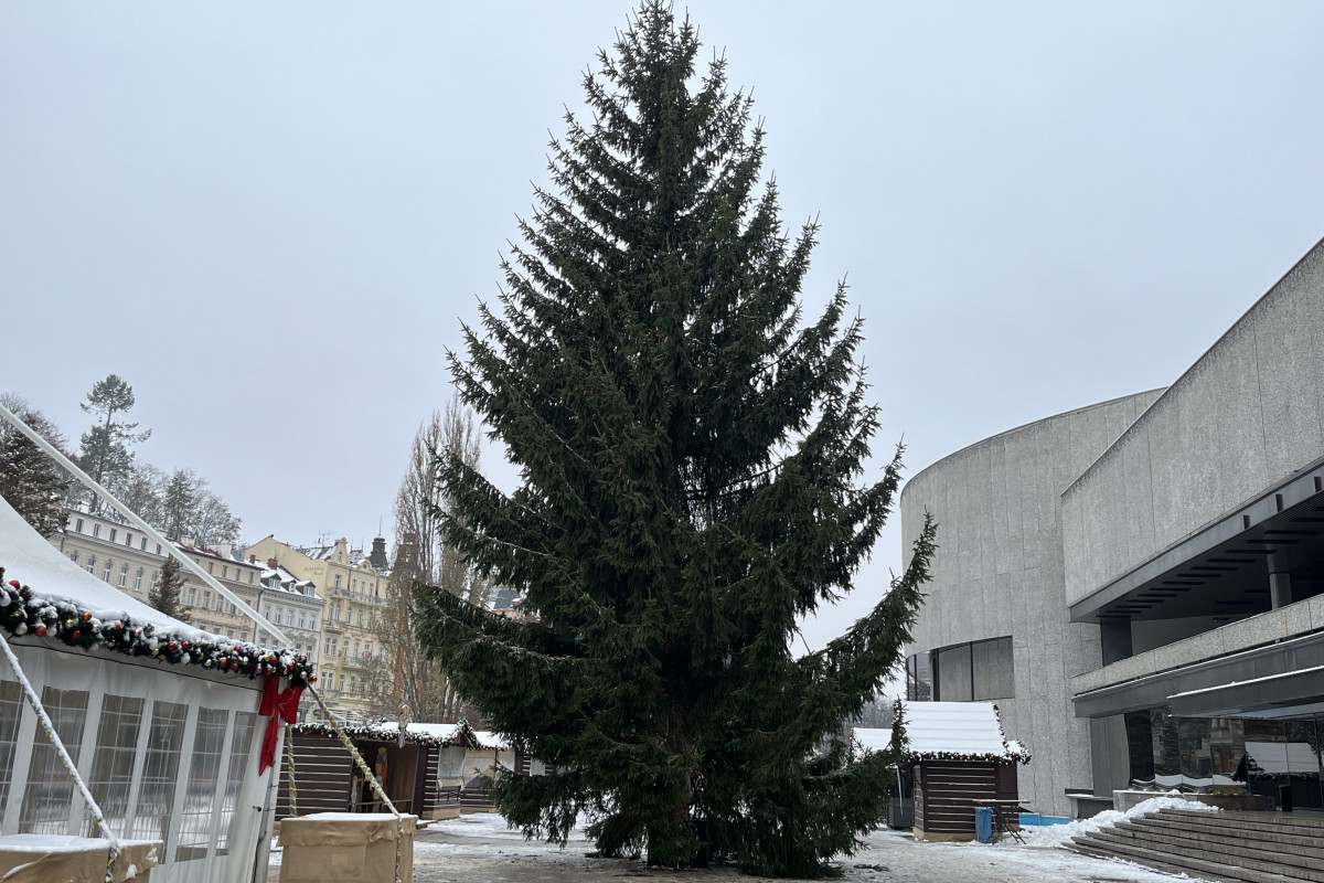 Město Karlovy Vary má nový vánoční strom