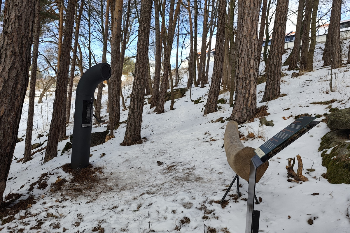 Vimperk: Zimní romantika pod zámkem s poesiomatem