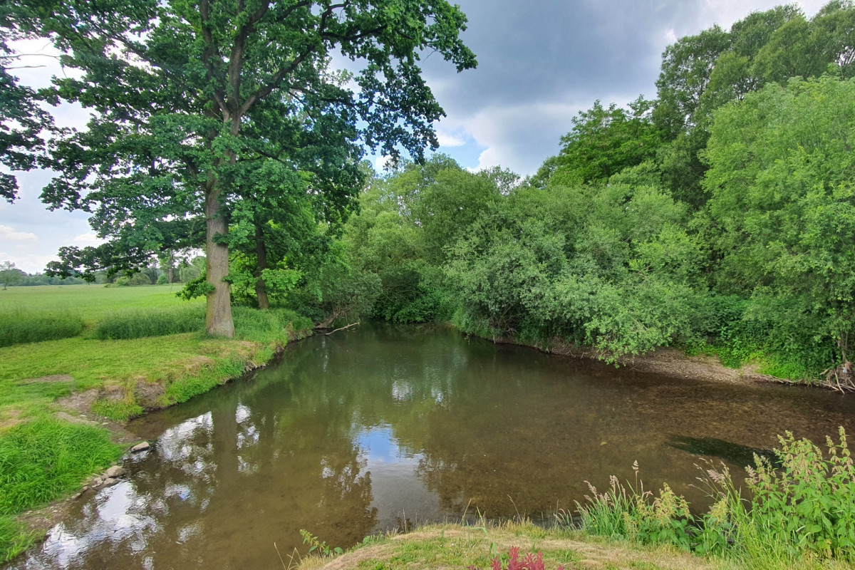 První zprávy Domácí Plchovice nedaleko Chocně řeší protipovodňovou