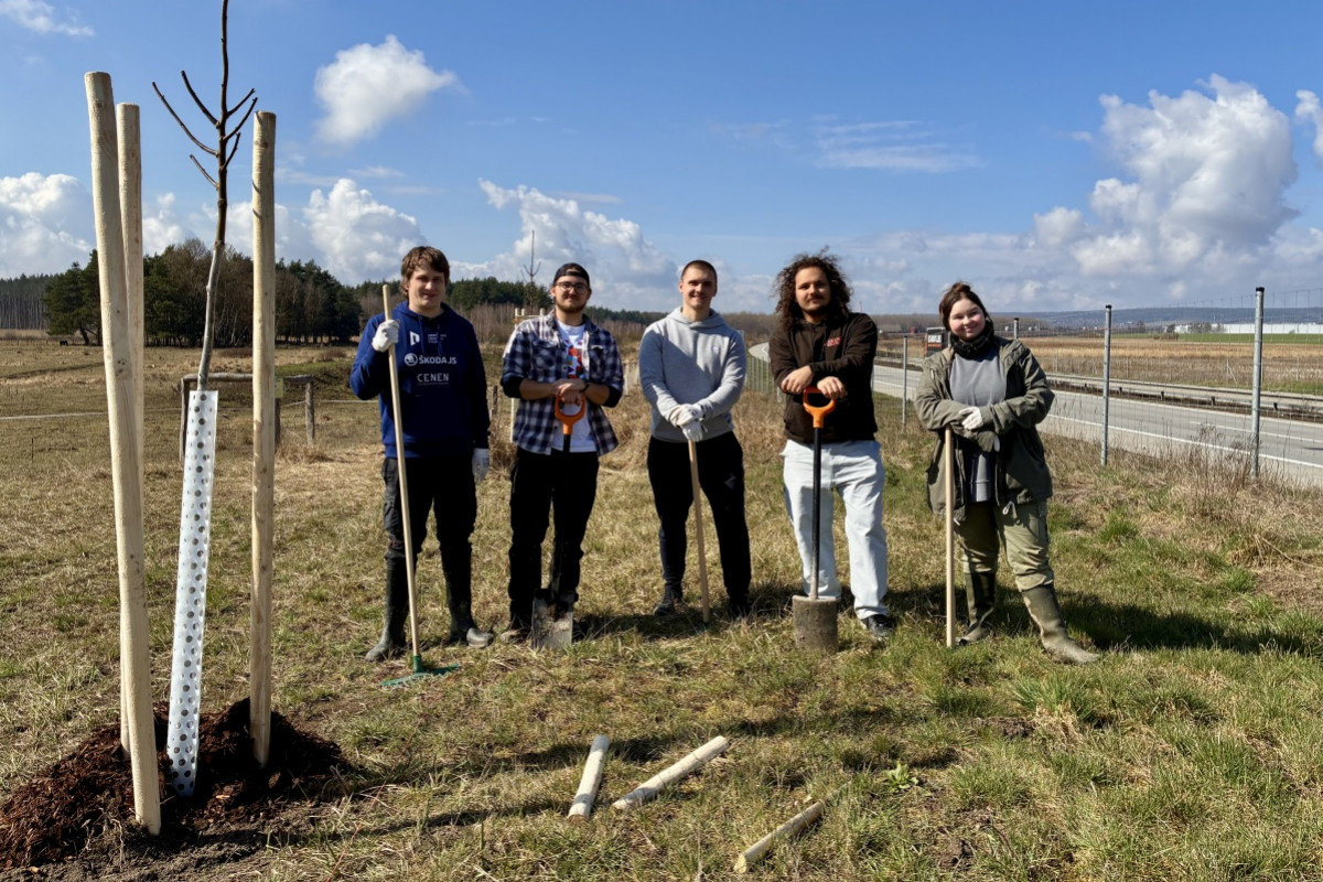 Plzeňský kraj a univerzita oslavily jubileum výsadbou stromů