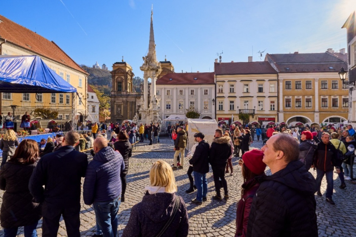 Listopad ve znamení Svatomartinských vín. Kam vyrazit?