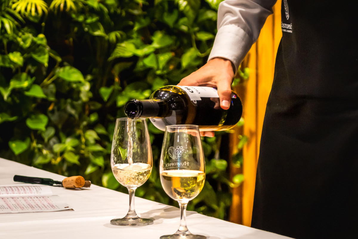 Degustace v Hustopečích: Vína Velkopavlovické vinařské podoblasti