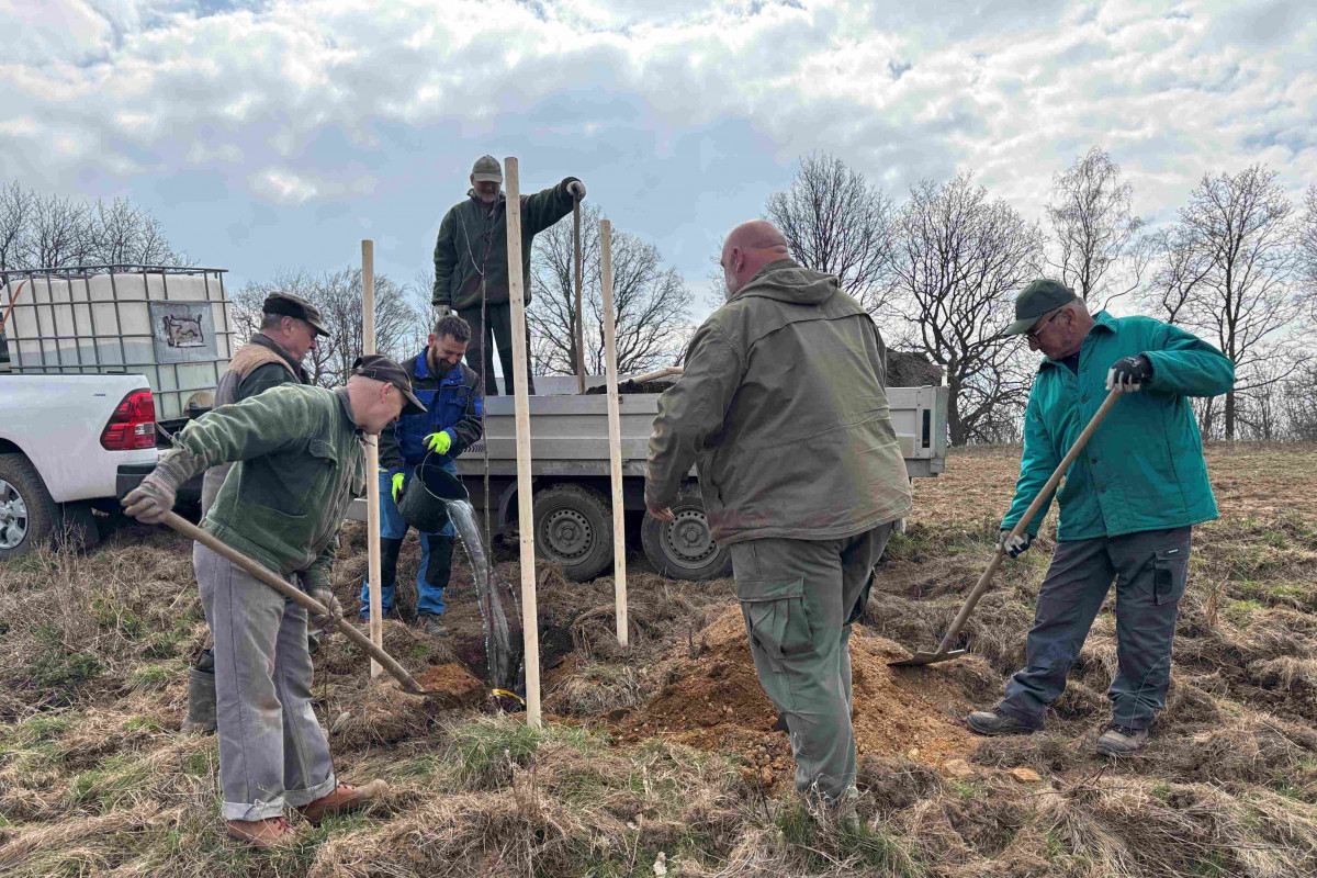 Veliký pátek a Bílá sobota ve znamení výsadby ovocných stromů
