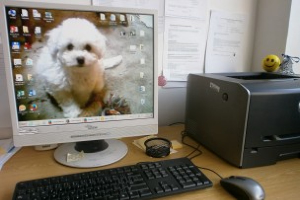 Kyberkriminalita v Karlovarském kraji roste