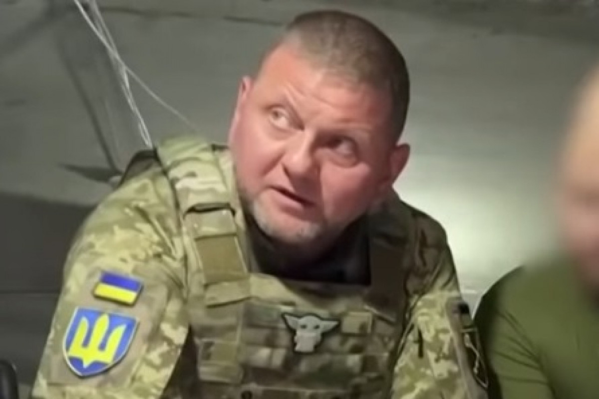 Nahradí Zalužnyj Zelenského? Novinářka odhaluje, co je ve hře