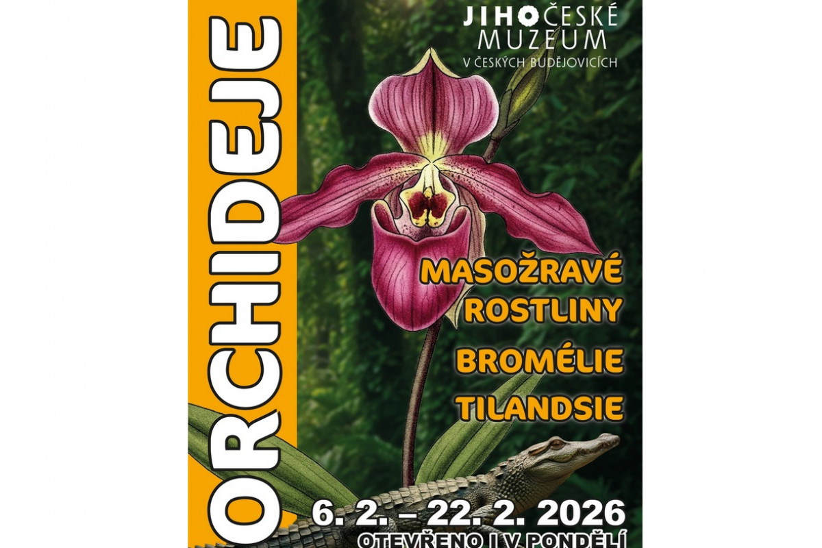 Jihočeské muzeum: Orchideje, masožravé rostliny, bromélie,...