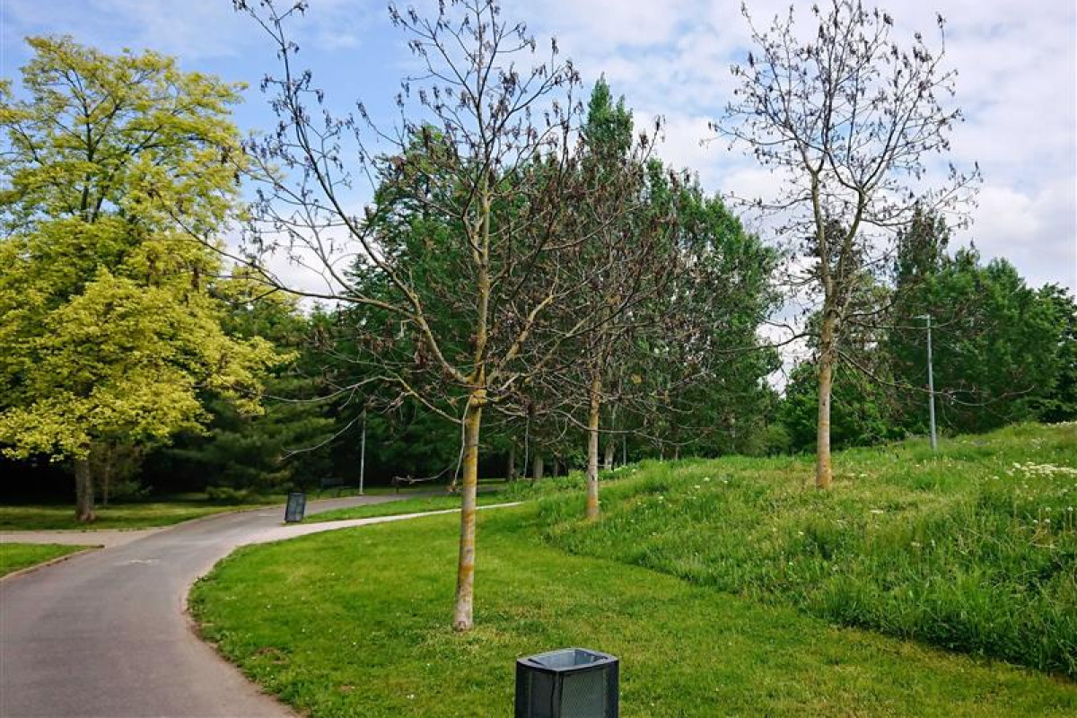 Severní terasy a Žižkovy sady v centru města čeká jarní úklid