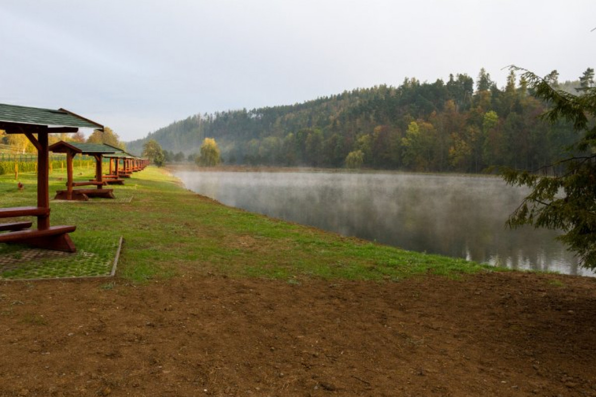 Nejvíce škod napáchali kormoráni Nejvíce škod napáchali kormoráni
