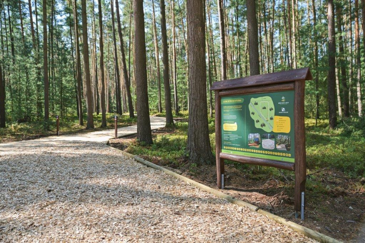 Městské lesy představují virtuálního rádce Šiškulku