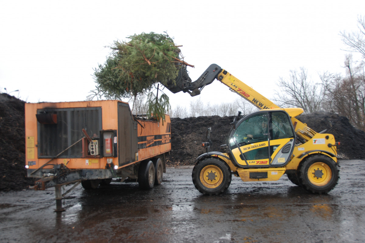 Svozy vánočních stromků začnou po Novém roce Svozy vánočních stromků začnou po Novém roce