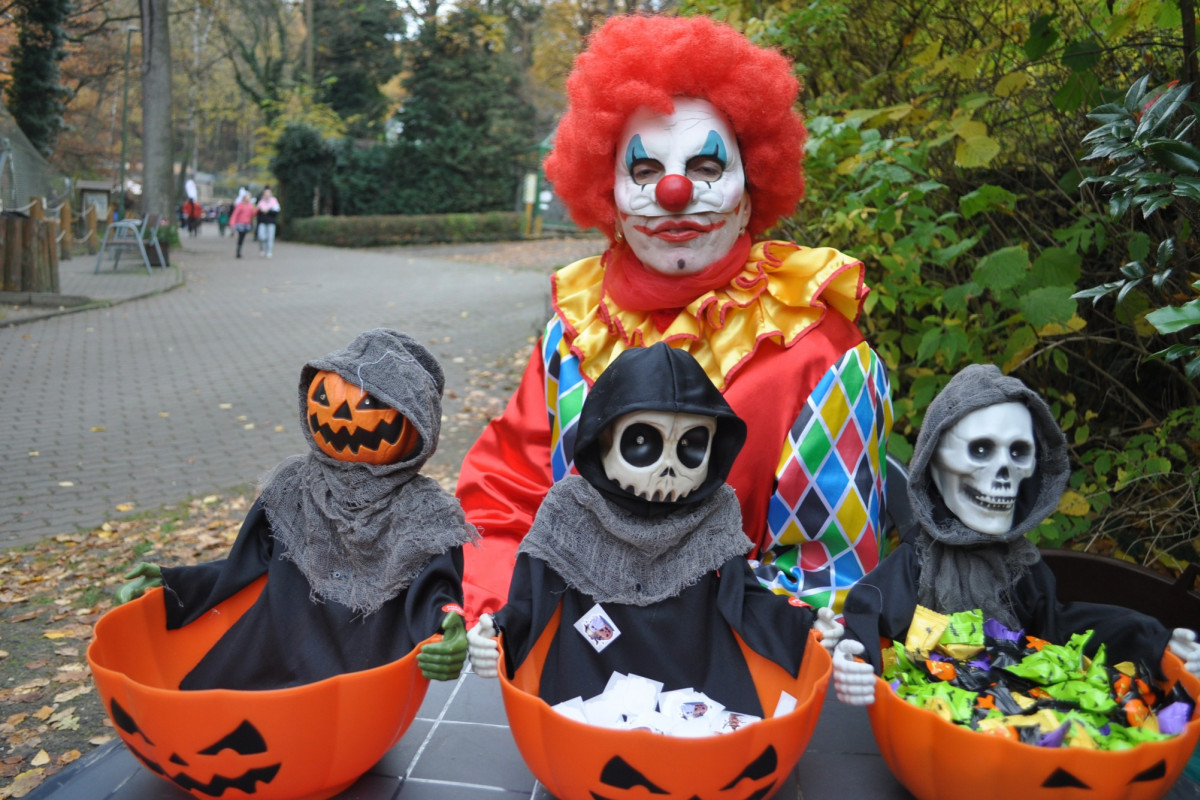 Strašidla a soutěž v dlabání dýní přilákaly do zoo stovky návštěvníků!