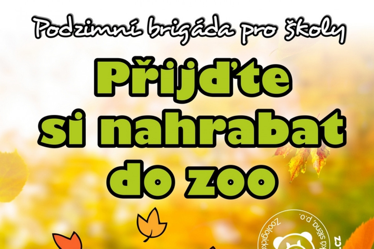 Přijďte si nahrabat do zoo: Zoo vyhlásila podzimní brigádu pro školy