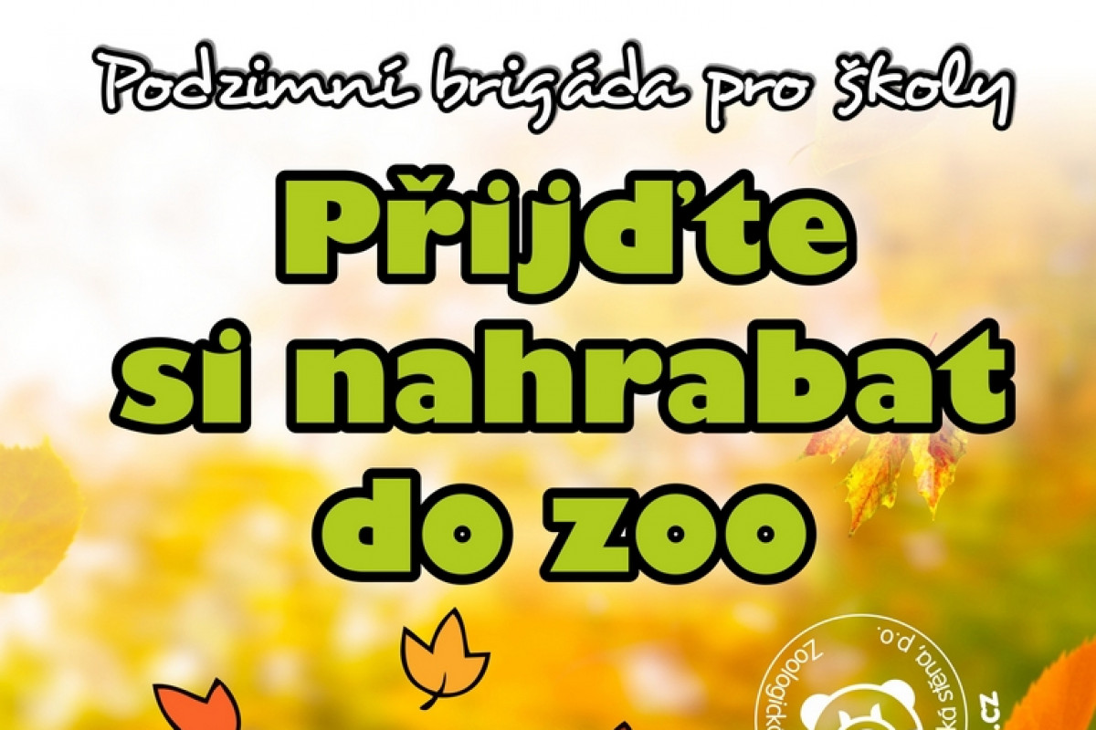 Přijďte si nahrabat do zoo: Zoo vyhlásila podzimní brigádu pro školy Přijďte si nahrabat do zoo: Zoo vyhlásila podzimní brigádu pro školy