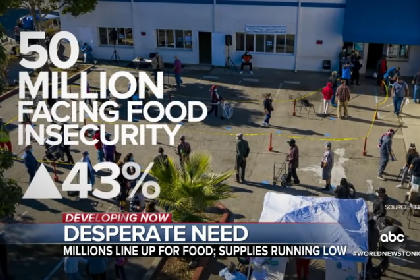 ABC News: Pandemie nutí miliony Američanů žít z ruky do úst