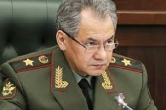 Šojgu německé ministryni: Z pozice síly?Tak na to se zeptejte dědečka!