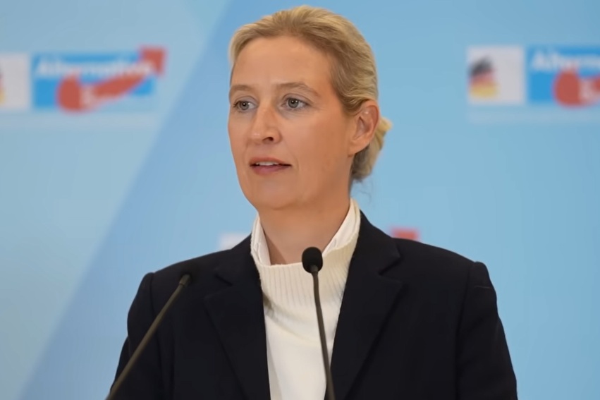 První zprávy - Domácí - AfD míří k volebnímu průlomu . Weidelová účtuje s Merzem